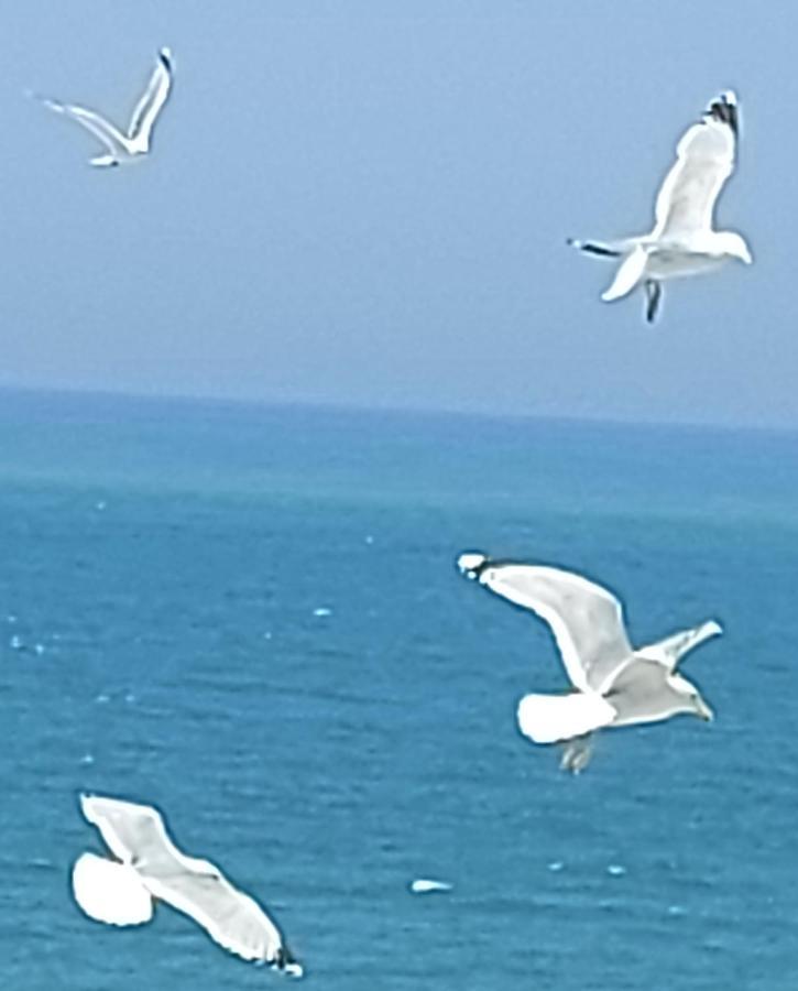 Le Paradis Bleu Bosville Kültér fotó