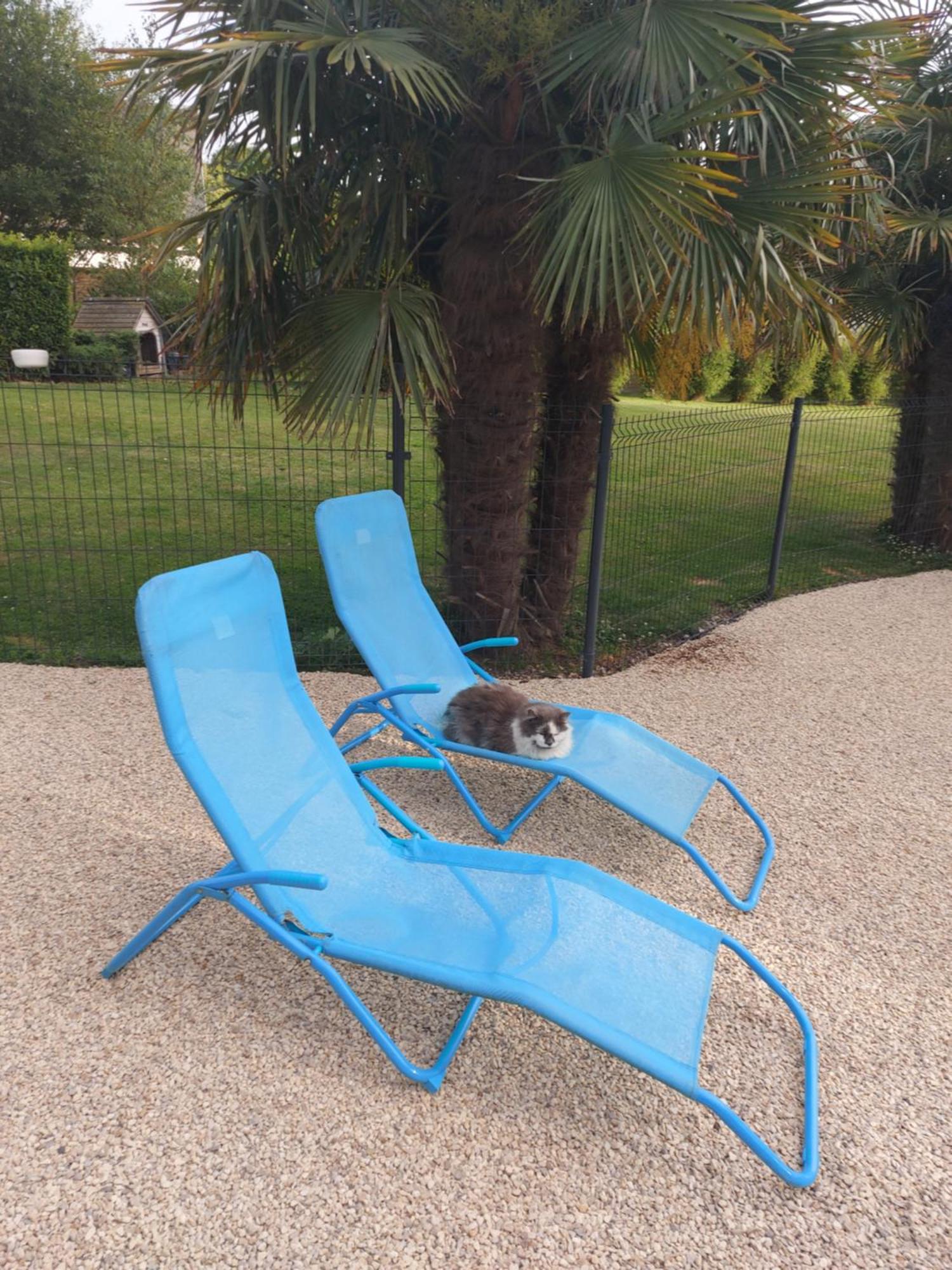 Le Paradis Bleu Bosville Kültér fotó